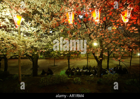 Hanami, Sumida River Park, Tokyo, Giappone Foto Stock