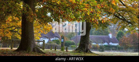 Tradizionale cottage con il tetto di paglia al Swan verde nella nuova foresta, Hampshire Foto Stock