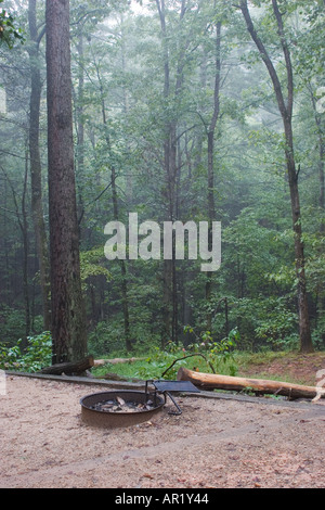 Campeggio con una buca per il fuoco nella nebbia mattutina a Unicoi State Park in North GEORGIA, STATI UNITI D'AMERICA Foto Stock