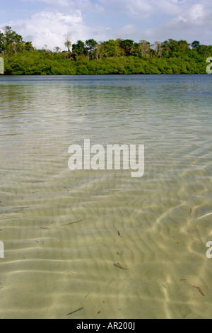 Rippels in mare sulla spiaggia di stelle marine Colon Isola Bocas Del Toro Foto Stock