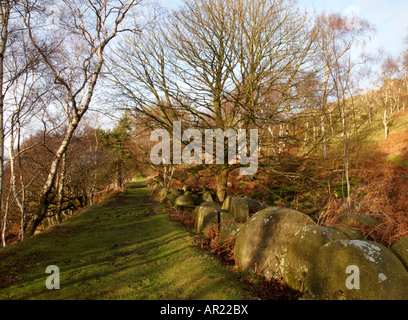 Macine in pietra nel Parco Nazionale di Peak District Derbyshire England Regno Unito Foto Stock