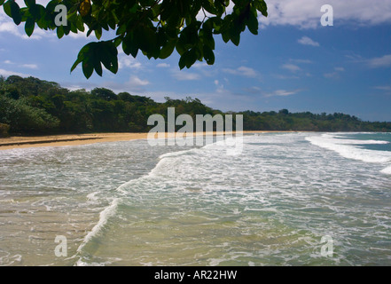 Guardando lungo la lunghezza della rana rossa spiaggia Isola Bastimentos Bocas Del Toro Panama Foto Stock