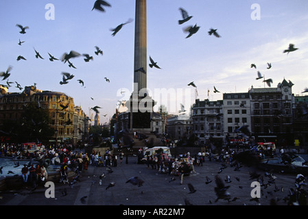 Ampia scena di Trafalgar Square dalla Galleria Nazionale, mostrando i piccioni in volo e turisti fresatura attorno alla fontana Foto Stock