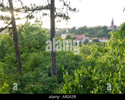 Amtsgarten, Halle an der Saale Germania Foto Stock