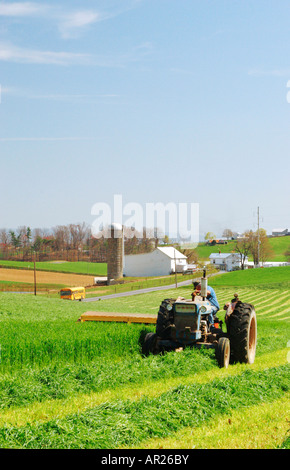 La falciatura di fieno, Dayton, Shenandoah Valley, Virginia, Stati Uniti d'America Foto Stock