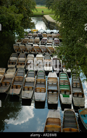 Sterline sul fiume Cherwell sotto Magdalen Bridge Oxford Inghilterra Foto Stock