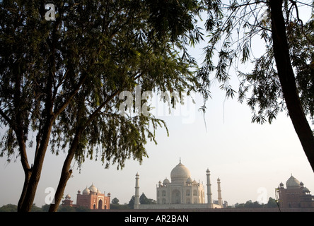 Il Taj Mahal visto dai giardini di Mehtab Bagh Foto Stock