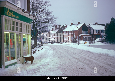 Walton sulla collina in inverno, SURREY REGNO UNITO Foto Stock