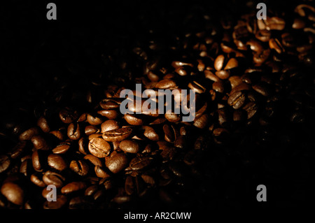 Arabica Coffee beans che risplende nelle tenebre Foto Stock