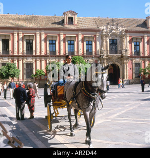 Cavallo e carrozzella essendo azionato vicino alla Cattedrale di Siviglia Andalusia Spagna del Sud Europa Foto Stock