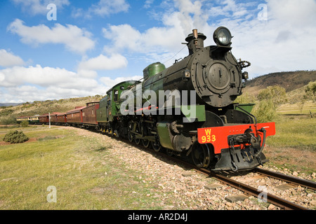 Pichi Richi Railway Foto Stock