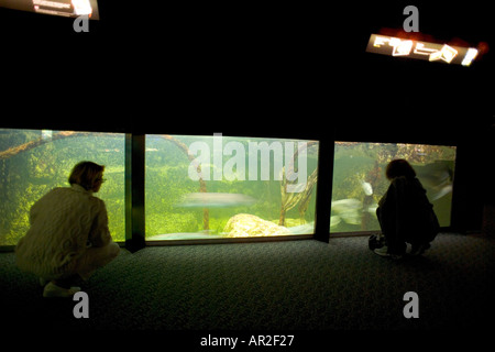 Acquario marino, Saint-Malo, Brittany, Francia Foto Stock