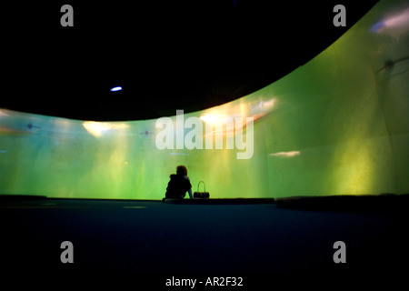 Anello di squali, marine aquarium, Saint-Malo, Brittany, Francia Foto Stock