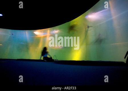 Anello di squali, marine aquarium, Saint-Malo, Brittany, Francia Foto Stock