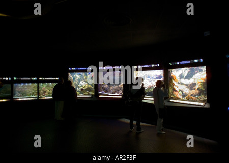 Acquario marino, Saint-Malo, Brittany, Francia Foto Stock