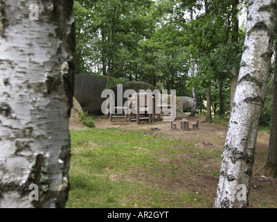 Parco naturale Blockheide, piccolo tavolo e sedie di fronte a grandi sedie di legno e tavolo, Bassa Austria, Waldvier Foto Stock