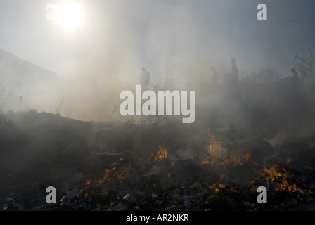 Residenti estinguere un incendio in una discarica durante gli incendi boschivi in estate 2007, Grecia, Peloponnes, Mani Skoutari Foto Stock