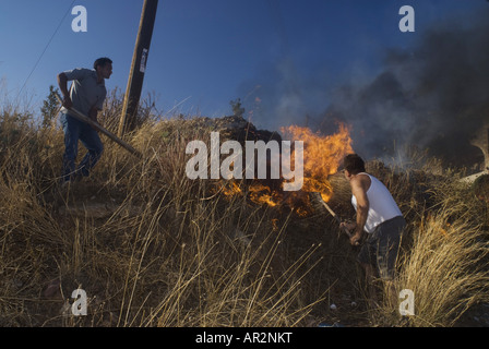 Residenti estinguere un incendio in una discarica durante gli incendi boschivi in estate 2007, Grecia, Peloponnes, Mani Skoutari Foto Stock