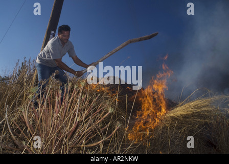 Residenti estinguere un incendio in una discarica durante gli incendi boschivi in estate 2007, Grecia, Peloponnes, Mani Skoutari Foto Stock