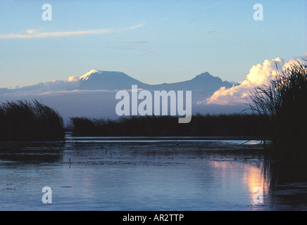 Kilimanjaro e Mawenzi visto dal lago Jipe Tsavo ovest del Parco Nazionale del Kenya Africa orientale Foto Stock