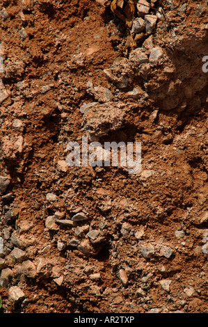 Sabbia ghiaia & Foto Stock