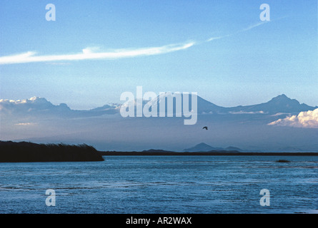 Kilimanjaro e Mawenzi visto dal lago Jipe Tsavo ovest del Parco Nazionale del Kenya Africa orientale Foto Stock