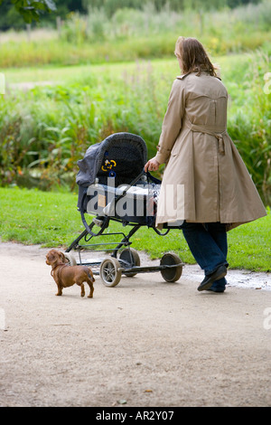 HOLLAND PARCO VONDEL AMSTERDAM donna spingendo una carrozzina e camminare IL SUO CANE Foto Stock