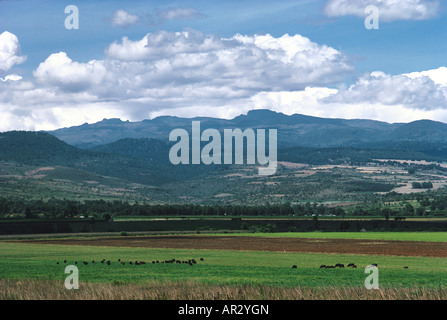 Mount Elgon 14 178 ft visto da di Kitale Kenya occidentale Africa orientale Foto Stock