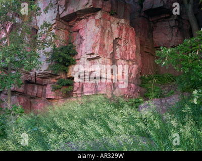 Sioux quarzite affioranti, Blu Mounds State Park, Minnesota, Stati Uniti d'America Foto Stock