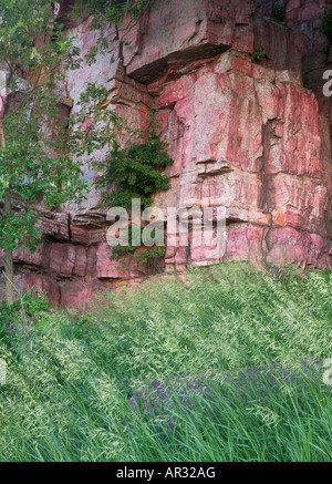 Sioux quarzite affioranti, Blu Mounds State Park, Minnesota, Stati Uniti d'America Foto Stock