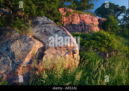 Sioux boulder quarzite e affiorante, Blu Mounds State Park, Minnesota, Stati Uniti d'America Foto Stock