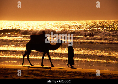 Un uomo e un cammello sulla spiaggia al tramonto, Agadir, Marocco, Africa Foto Stock