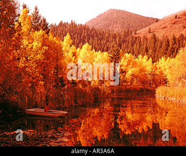 Autunno oscurata alberi aspen riflettono in un piccolo laghetto di montagna in Idaho dove la fortuna di un pescatore è la pesca sportiva di trote Foto Stock