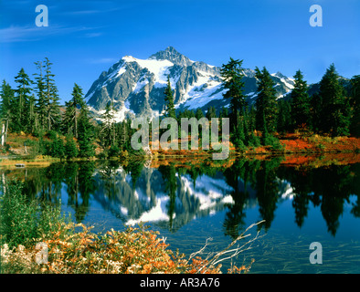Mount Shuksan e foto lago nel nord di Washington con colori autunnali sulla spazzola e fogliame Foto Stock