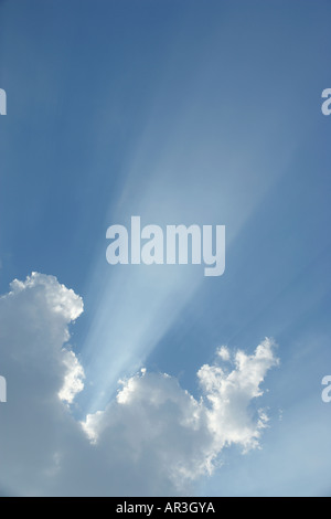 Albero della rottura di luce attraverso una nuvola in cielo blu Foto Stock