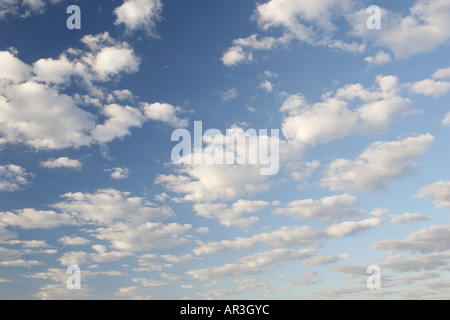 Bianchi e soffici nuvole nel cielo blu Foto Stock