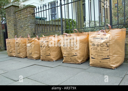 Rifiuti verdi in sacchetti di raccolta in attesa di Islington Londra Inghilterra REGNO UNITO Foto Stock