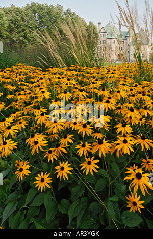 Parco della Francofonia si siede sul Grand Allee con una bellissima vista dell'armeria in Quebec City, Québec Canada. Foto Stock