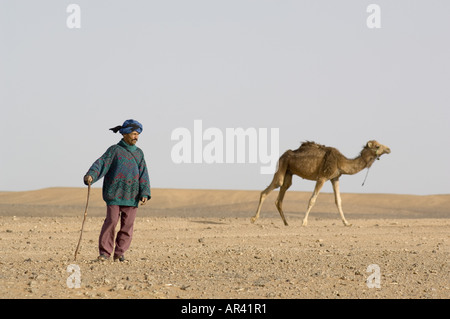 Driver di cammello, Erg Chebbi, Marocco Foto Stock