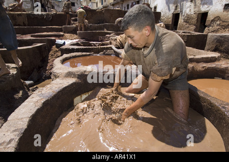 Lavoratore nel trimestre i conciatori, Chouara, Fes, Marocco Foto Stock