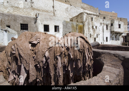 Pellicce nel trimestre i conciatori, Fes, Marocco Foto Stock