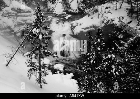 Parco Nazionale di Yellowstone Fiume Madison cascata rapids in inverno la neve e il ghiaccio Foto Stock