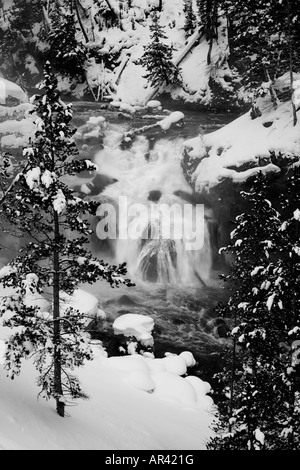 Parco Nazionale di Yellowstone Fiume Madison cascata rapids in inverno la neve e il ghiaccio Foto Stock