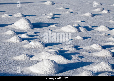 Parco Nazionale di Yellowstone in inverno la neve tumuli al Norris Geyser Basin Foto Stock