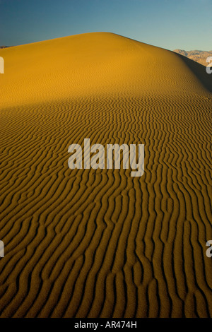 Le dune di sabbia e ripple desgins sulle dune Mesquite Appartamenti vicino a tubo di stufa area pozzi Death Valley NP Foto Stock