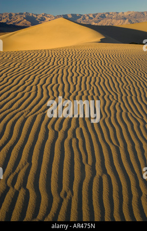 Le dune di sabbia e ripple desgins sulle dune Mesquite Appartamenti vicino a tubo di stufa area pozzi Death Valley NP Foto Stock