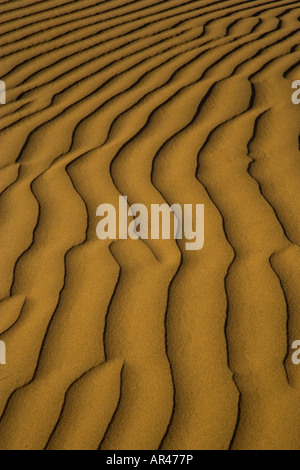 Le dune di sabbia e ripple desgins sulle dune Mesquite Appartamenti vicino a tubo di stufa area pozzi Death Valley NP Foto Stock