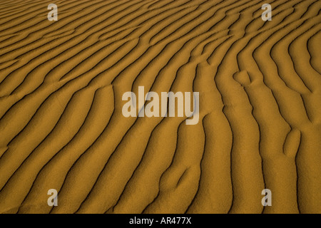 Le dune di sabbia e ripple desgins sulle dune Mesquite Appartamenti vicino a tubo di stufa area pozzi Death Valley NP Foto Stock