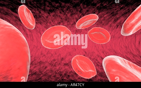 8 le cellule rosse del sangue eritrociti da flottante in arteria Foto Stock