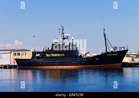 Spedizione / Navi / il 'Sea pastore' di proprietà 'Ship,Steve Irwin" Foto Stock